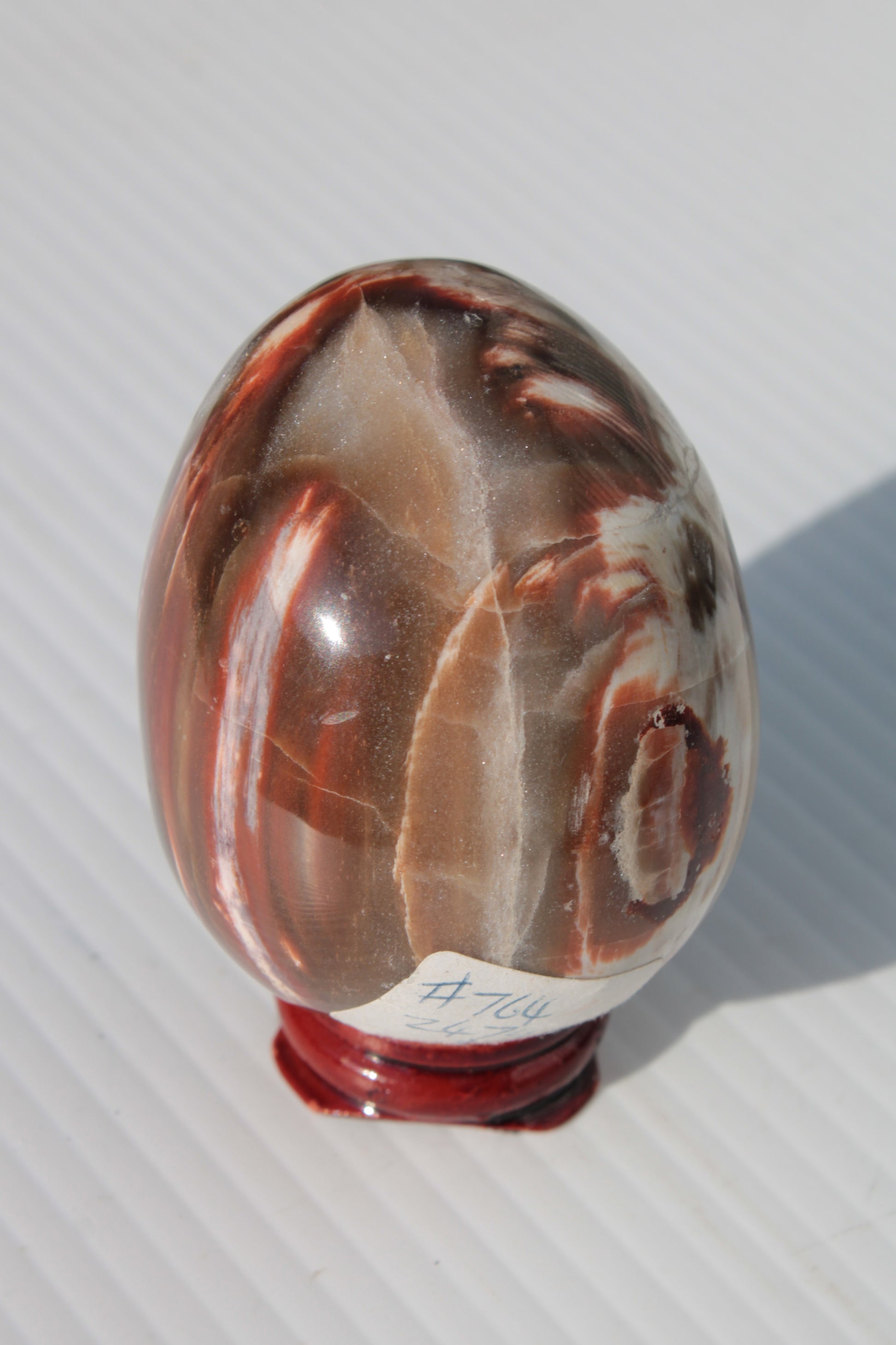 Petrified Wood Fossil egg from Madagascar 247g Rocks and Things