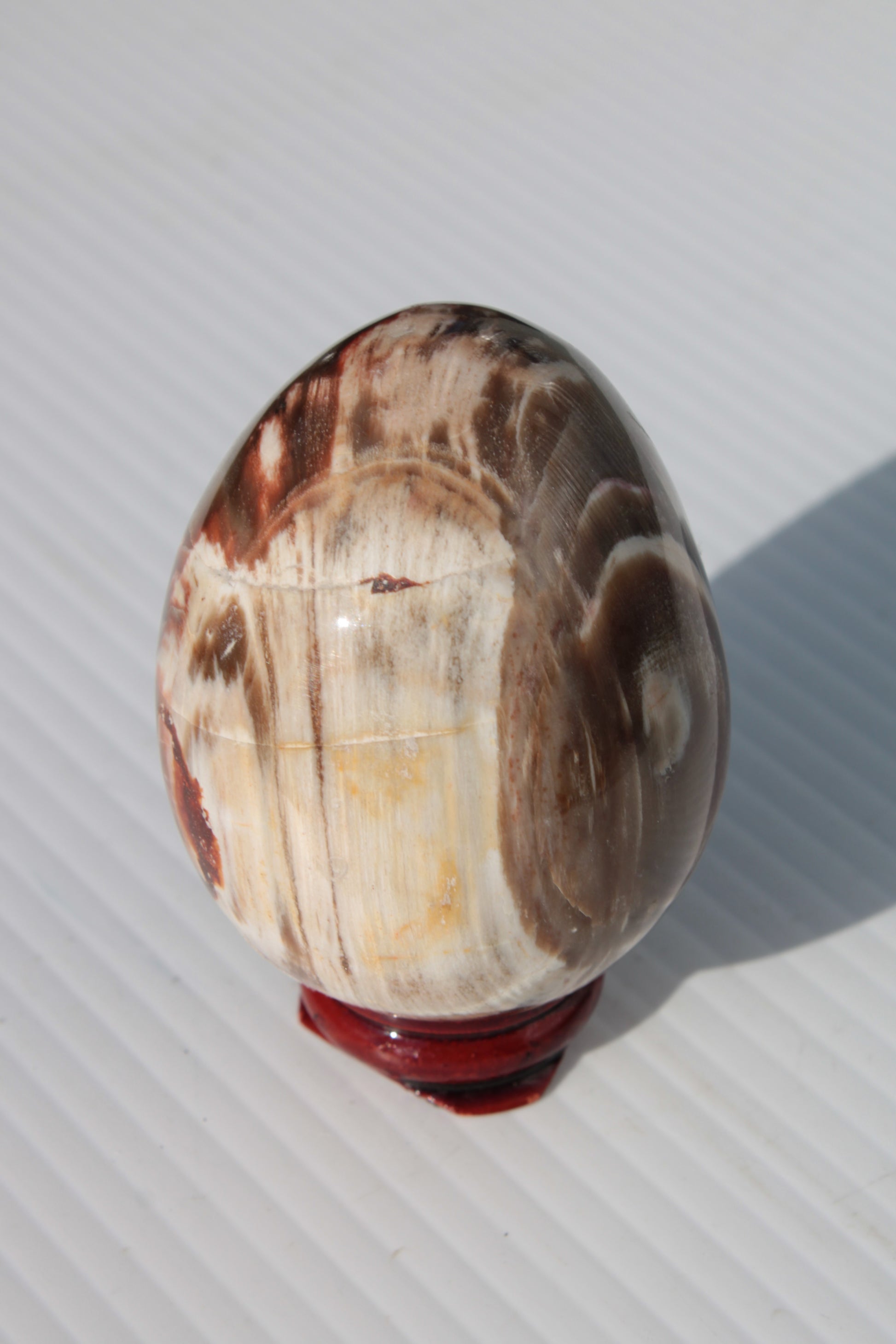 Petrified Wood Fossil egg from Madagascar 247g Rocks and Things