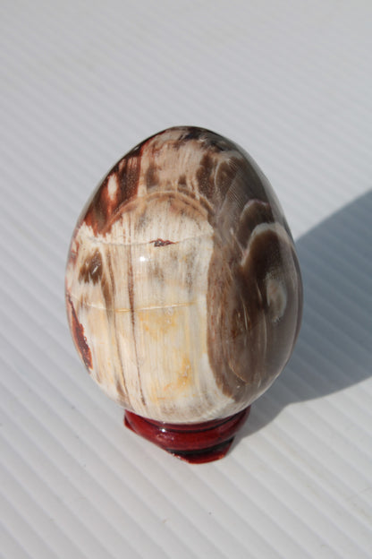 Petrified Wood Fossil egg from Madagascar 247g Rocks and Things