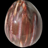 Petrified Wood Fossil egg from Madagascar 247g in sunlight - Rocks and Things Store