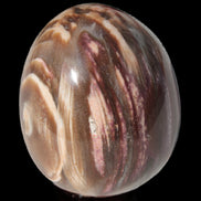 Petrified Wood Fossil egg from Madagascar 247g in sunlight - Rocks and Things Store