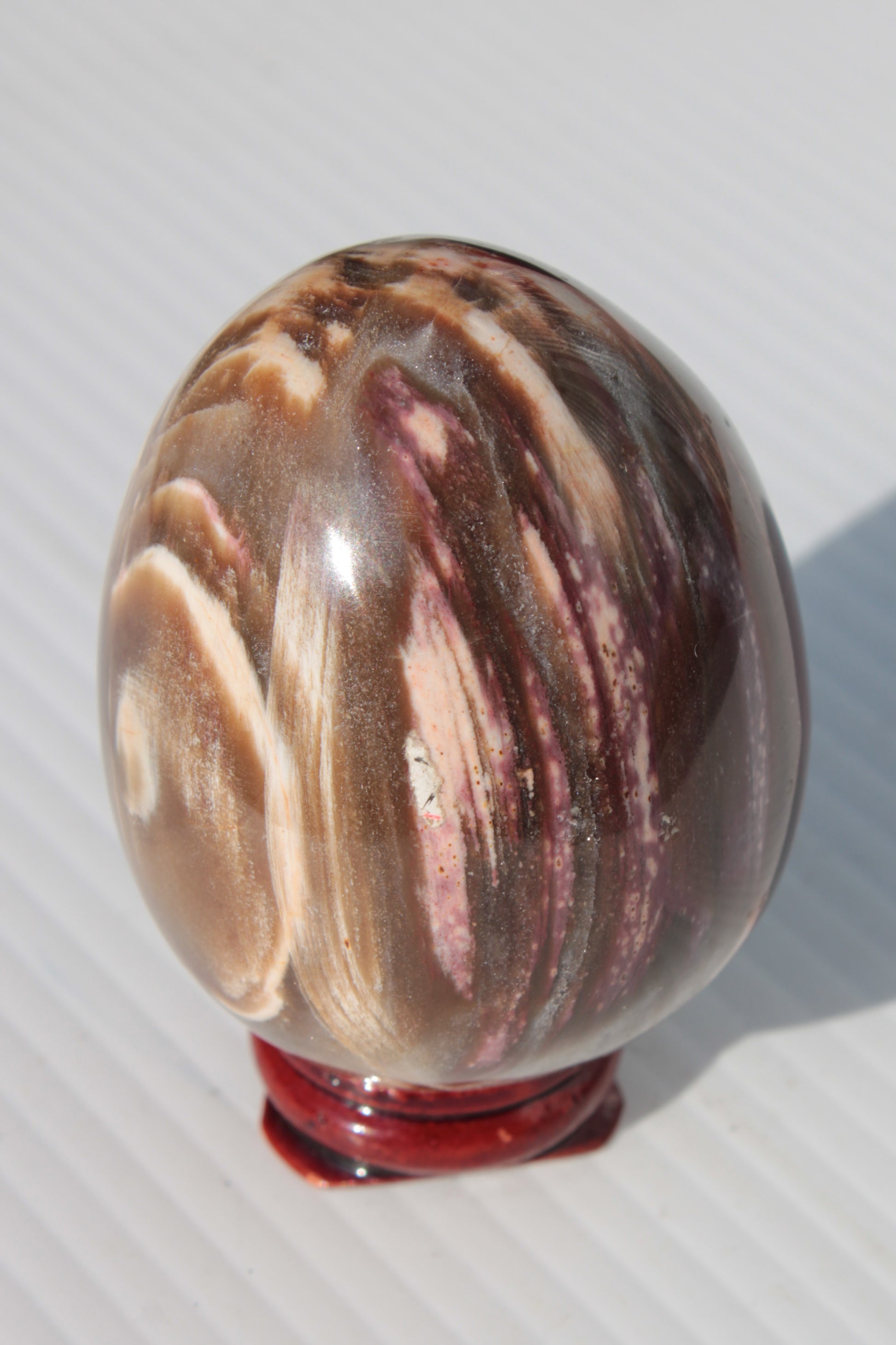 Petrified Wood Fossil egg from Madagascar 247g Rocks and Things