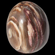 Petrified Wood Fossil egg from Madagascar 247g in sunlight - Rocks and Things Store