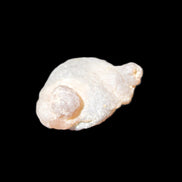 Gobi Desert Agate 36*27*13mm 20g in sunlight - Rocks and Things Store