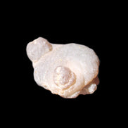 Gobi Desert Agate 36*27*13mm 20g in sunlight - Rocks and Things Store