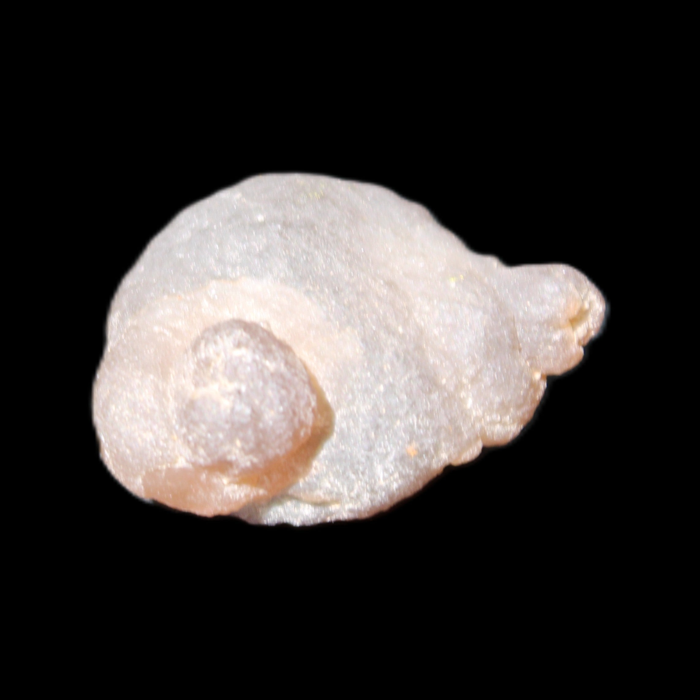 Gobi Desert Agate 36*27*13mm 20g in sunlight - Rocks and Things Store