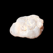 Gobi Desert Agate 36*27*13mm 20g in sunlight - Rocks and Things Store