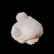 Gobi Desert Agate 36*27*13mm 20g in sunlight - Rocks and Things Store