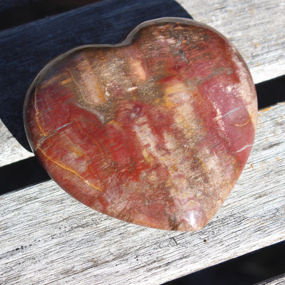 Petrified Wood heart from Madagascar 276g Rocks and Things