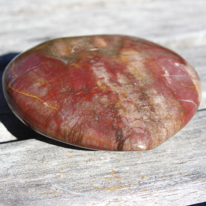 Petrified Wood heart from Madagascar 276g Rocks and Things