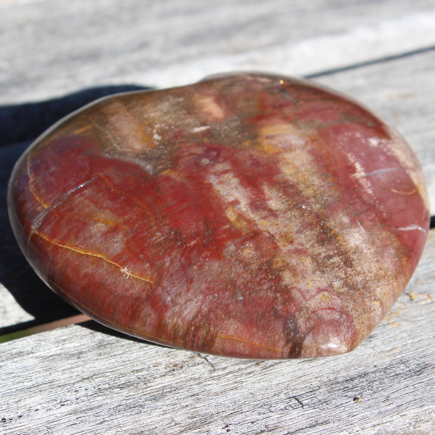 Petrified Wood heart from Madagascar 276g Rocks and Things