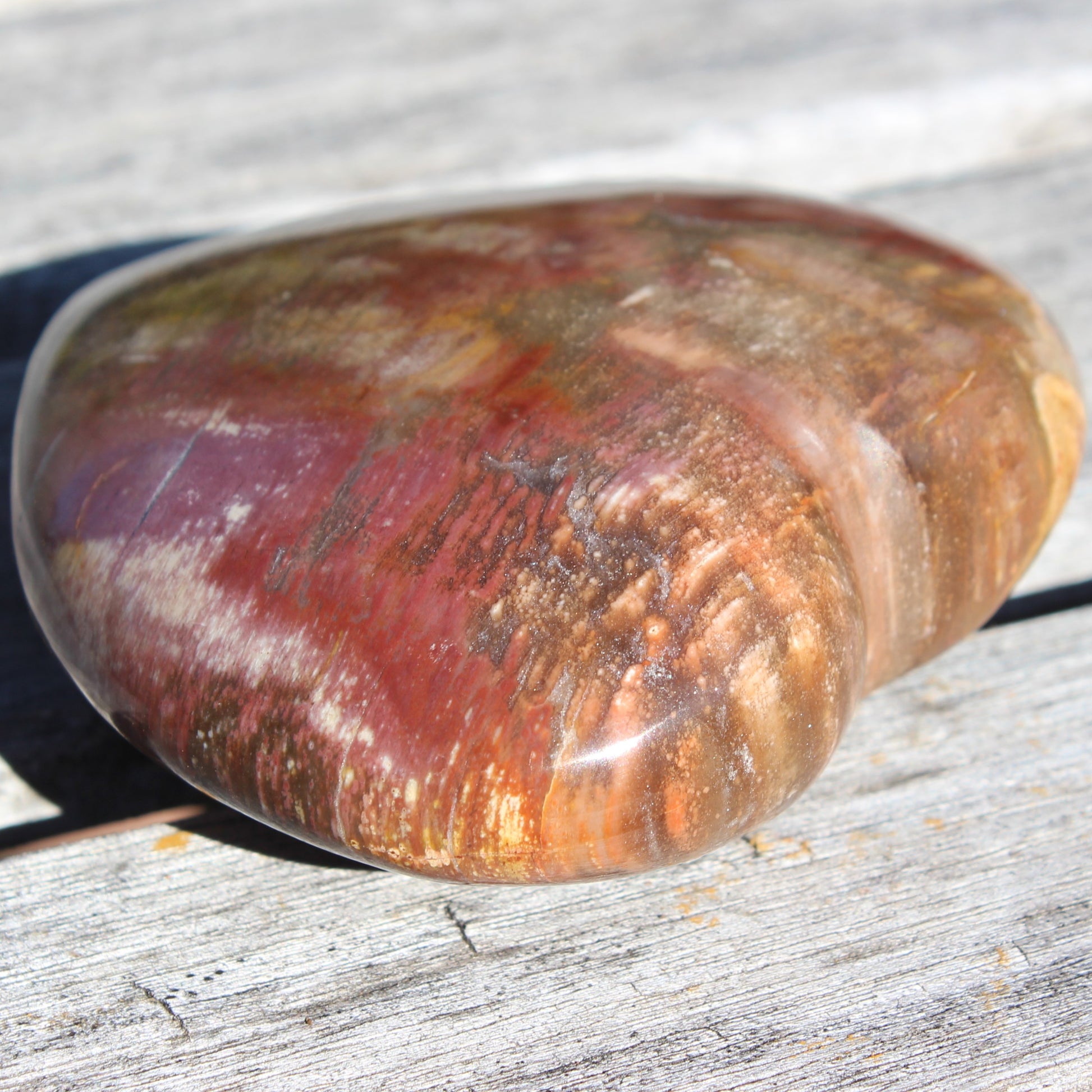 Petrified Wood heart from Madagascar 276g Rocks and Things