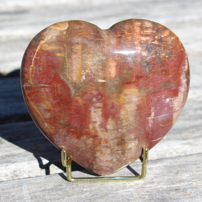 Petrified Wood heart from Madagascar 276g Rocks and Things