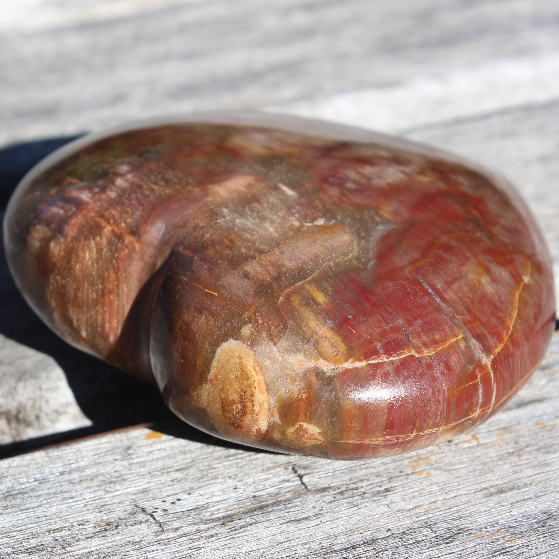 Petrified Wood heart from Madagascar 276g Rocks and Things