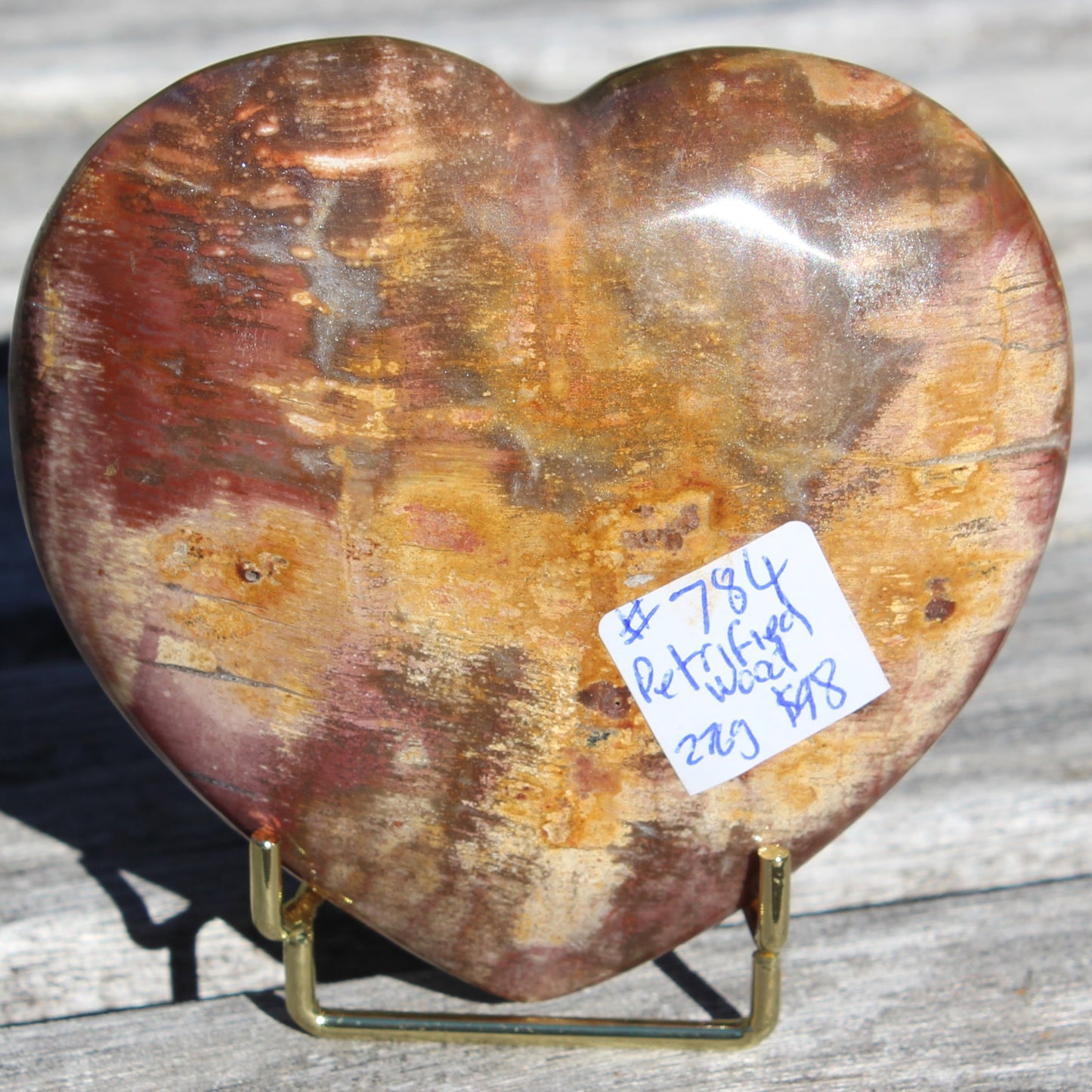 Petrified Wood heart from Madagascar 276g Rocks and Things