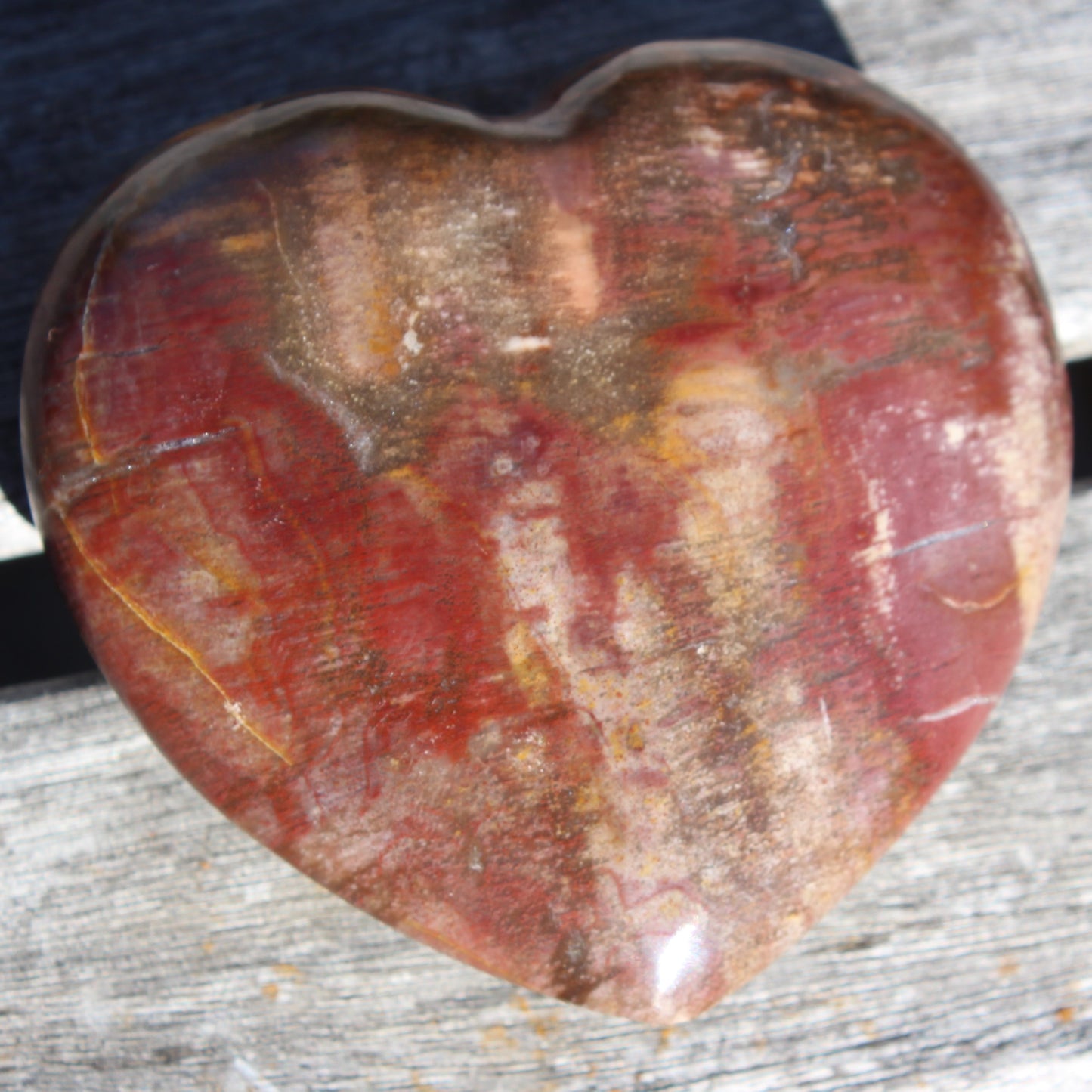 Petrified Wood heart from Madagascar 276g Rocks and Things