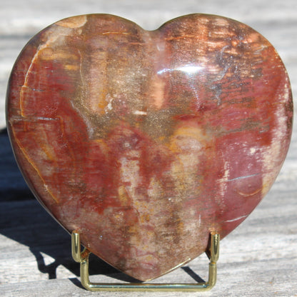 Petrified Wood heart from Madagascar 276g Rocks and Things