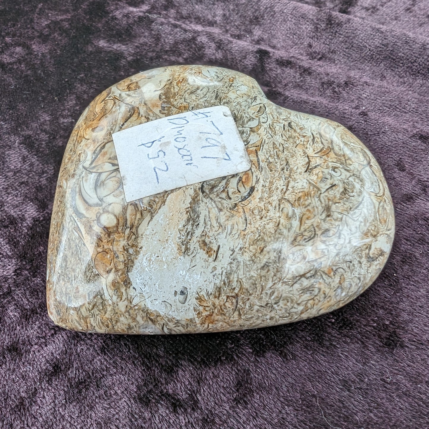 Dinosaur Bone Fossil heart from Madagascar 206g