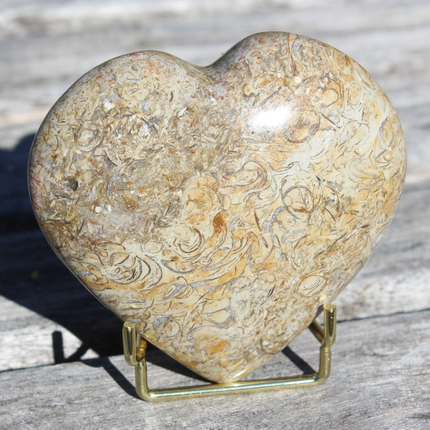 Dinosaur Bone Fossil heart from Madagascar 206g