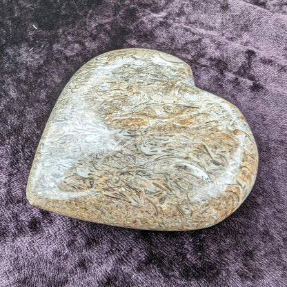 Dinosaur Bone Fossil heart from Madagascar 206g