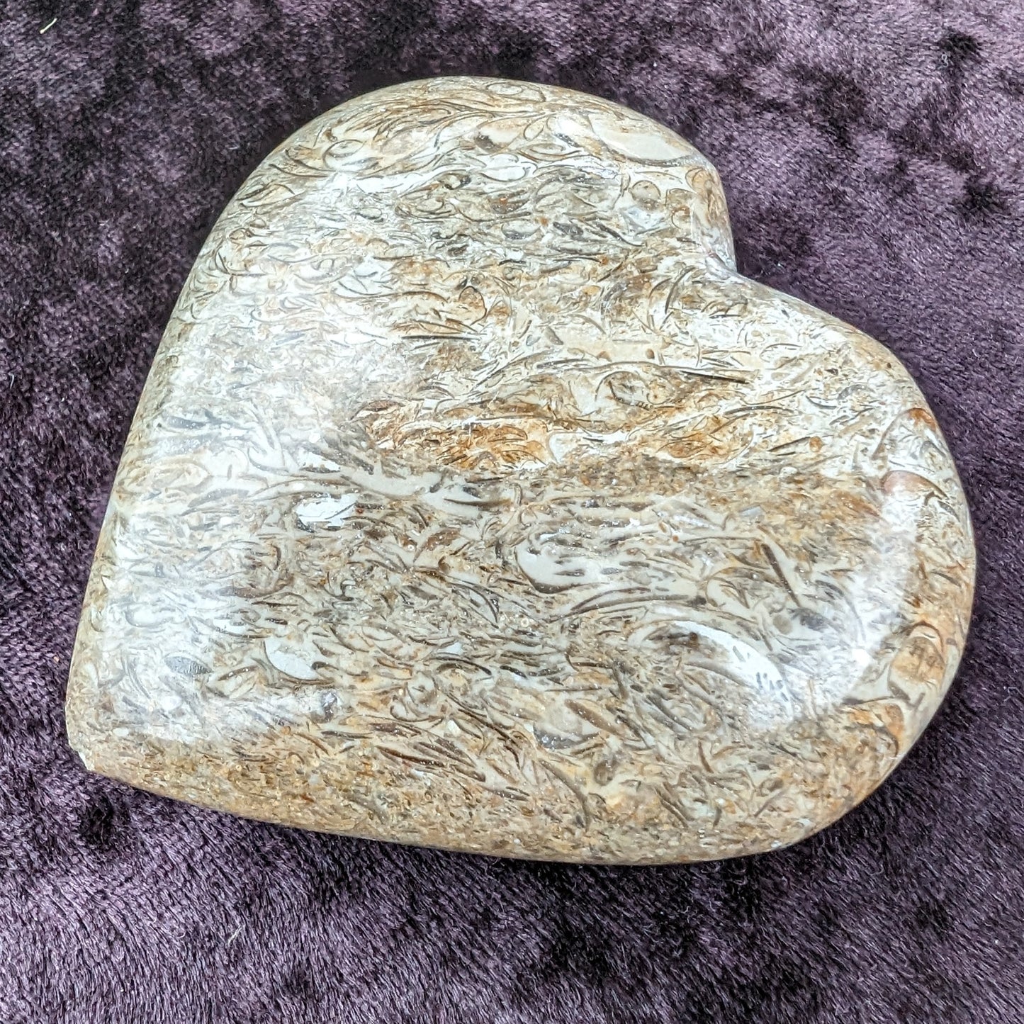 Dinosaur Bone Fossil heart from Madagascar 206g