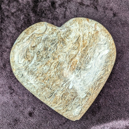 Dinosaur Bone Fossil heart from Madagascar 206g