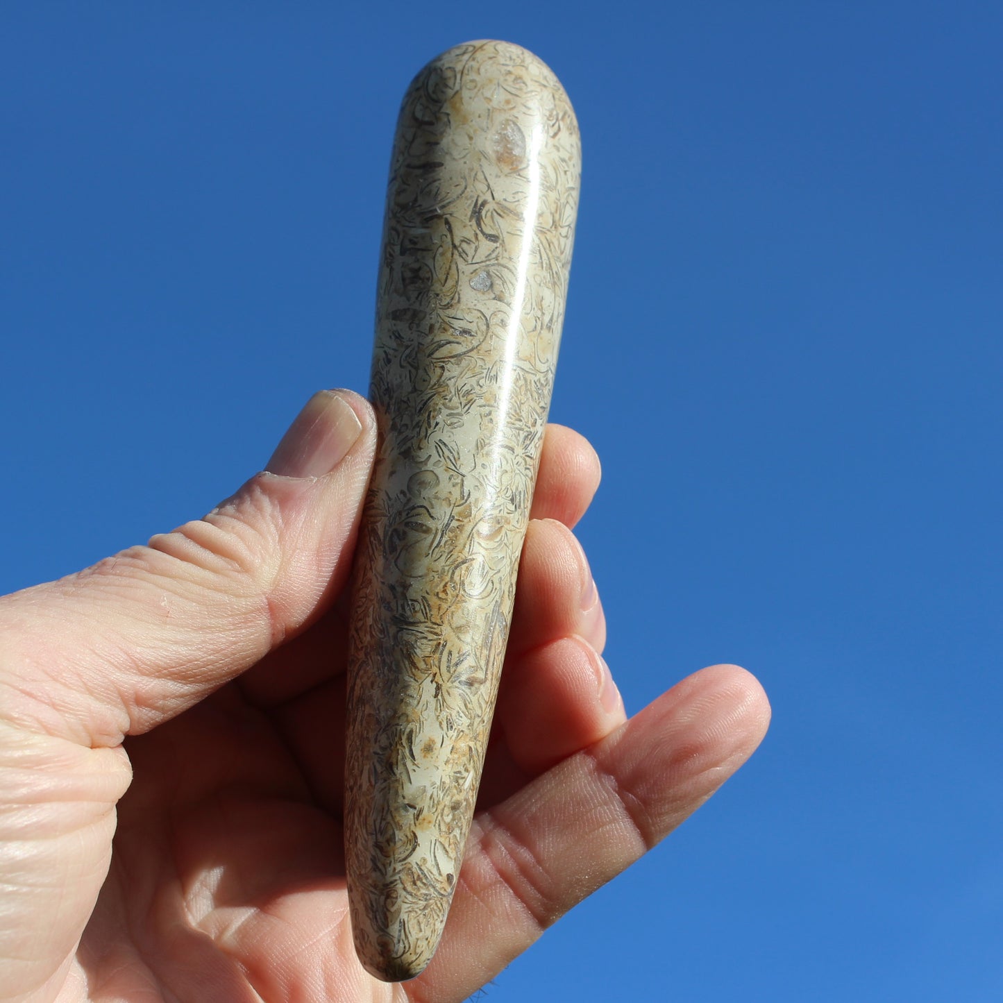 Dinosaur Bone Fossil massage wand from Madagascar 135/156g Rocks and Things