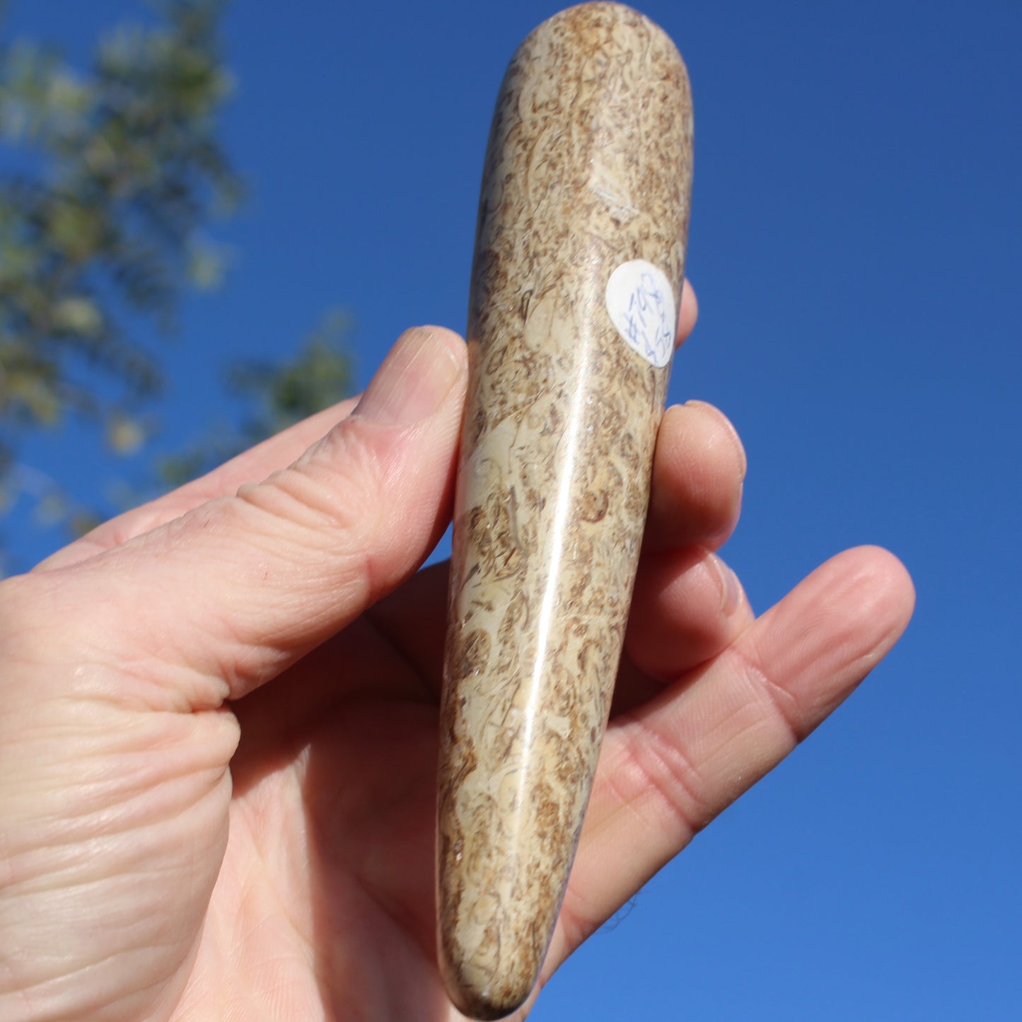 Dinosaur Bone Fossil massage wand from Madagascar 135/156g