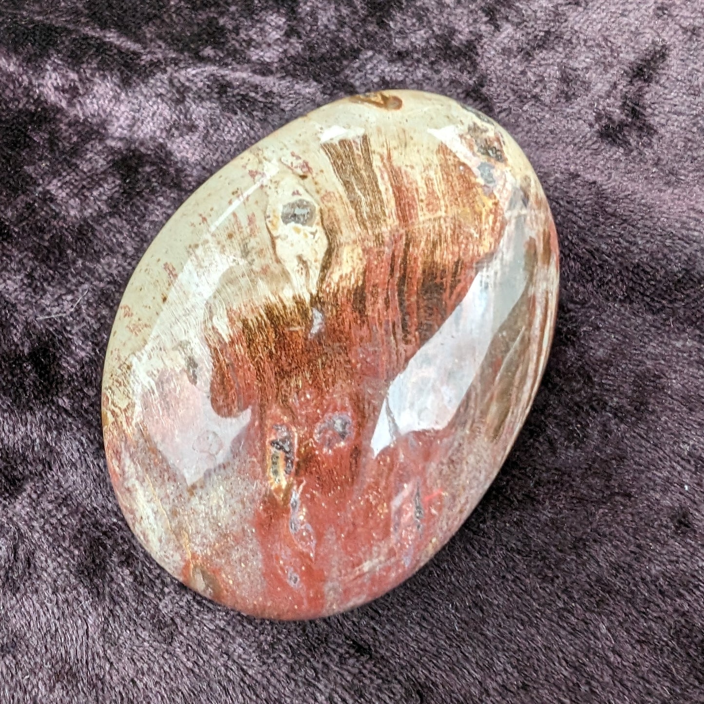 Petrified Wood polished palmstone from Madagascar 109g