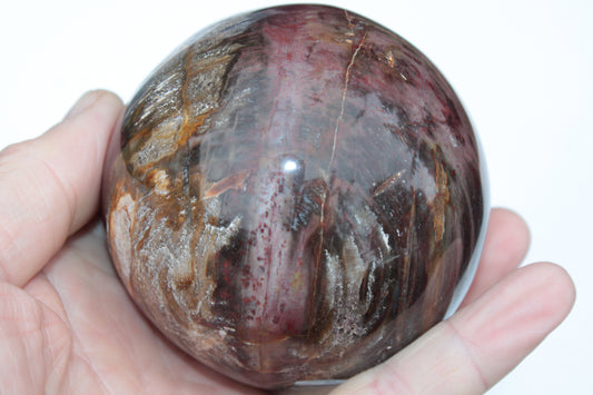 Petrified Wood sphere 675g Rocks and Things