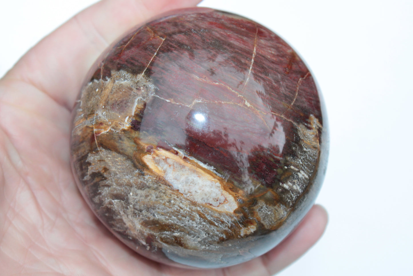 Petrified Wood sphere 675g Rocks and Things