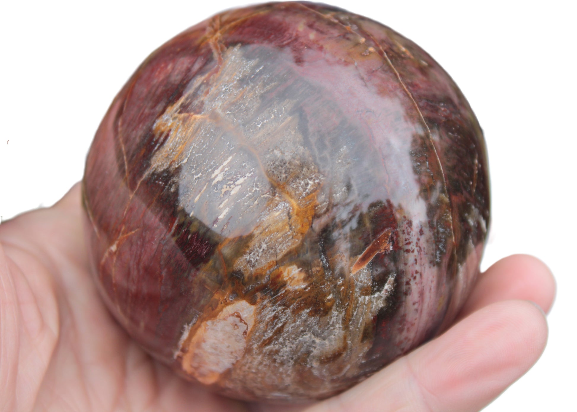 Petrified Wood sphere 675g Rocks and Things