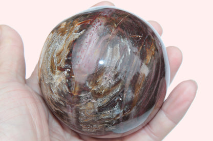 Petrified Wood sphere 675g Rocks and Things