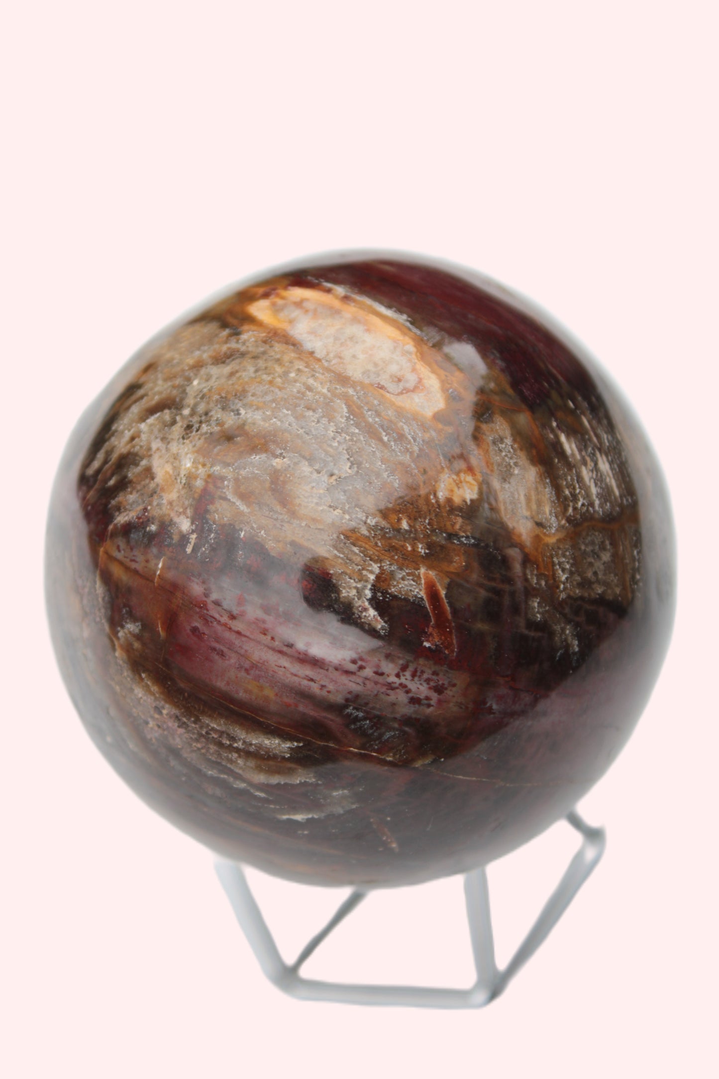 Petrified Wood sphere 675g Rocks and Things