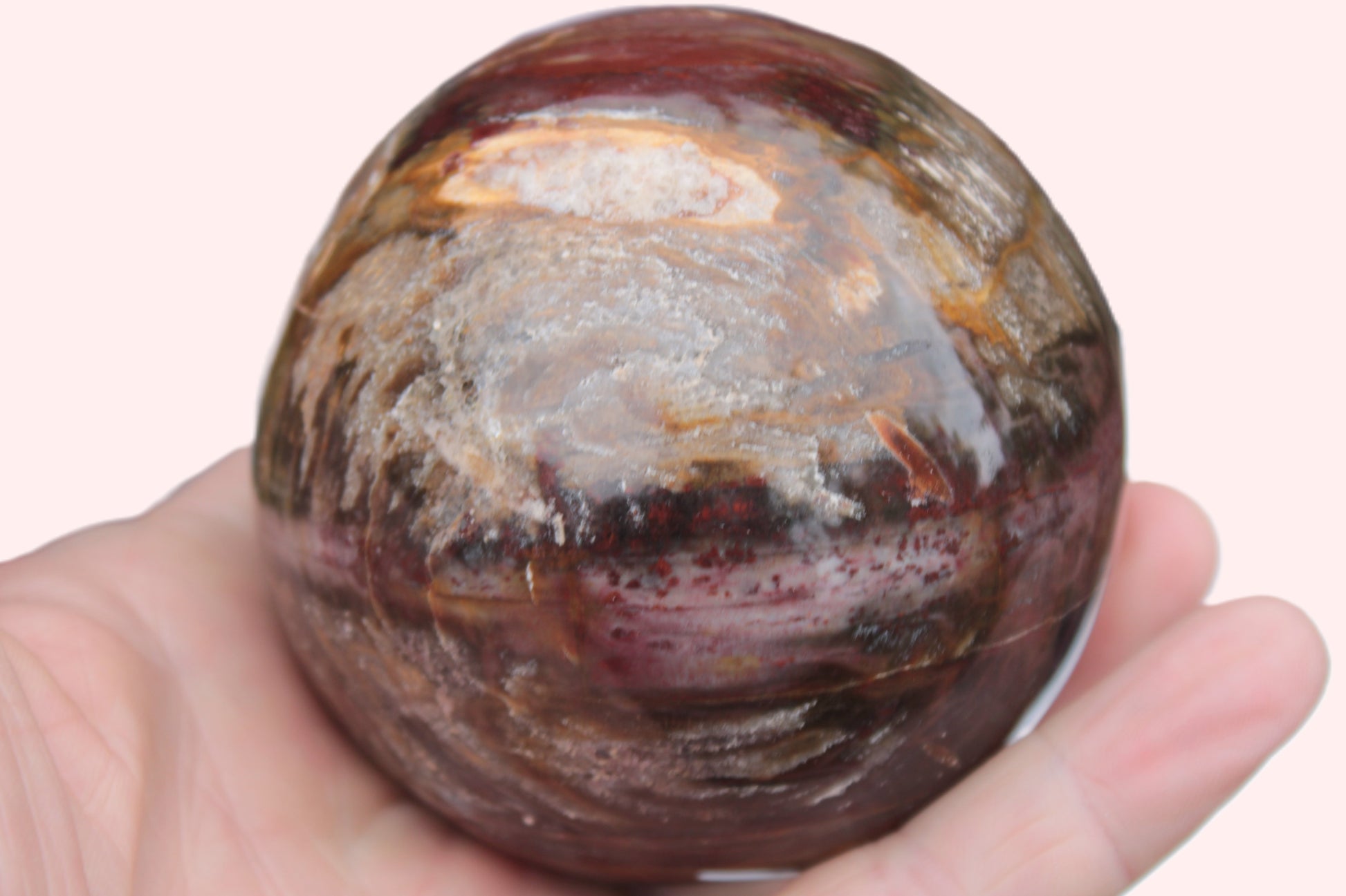 Petrified Wood sphere 675g Rocks and Things