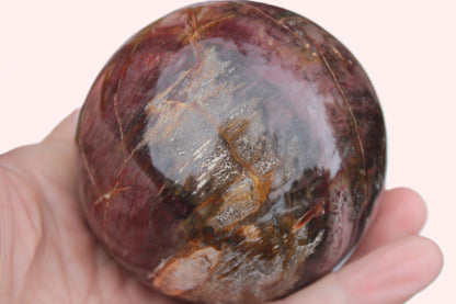 Petrified Wood sphere 675g Rocks and Things