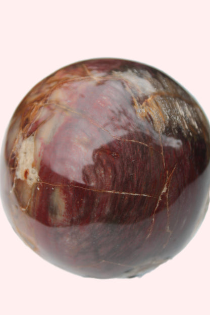 Petrified Wood sphere 675g Rocks and Things