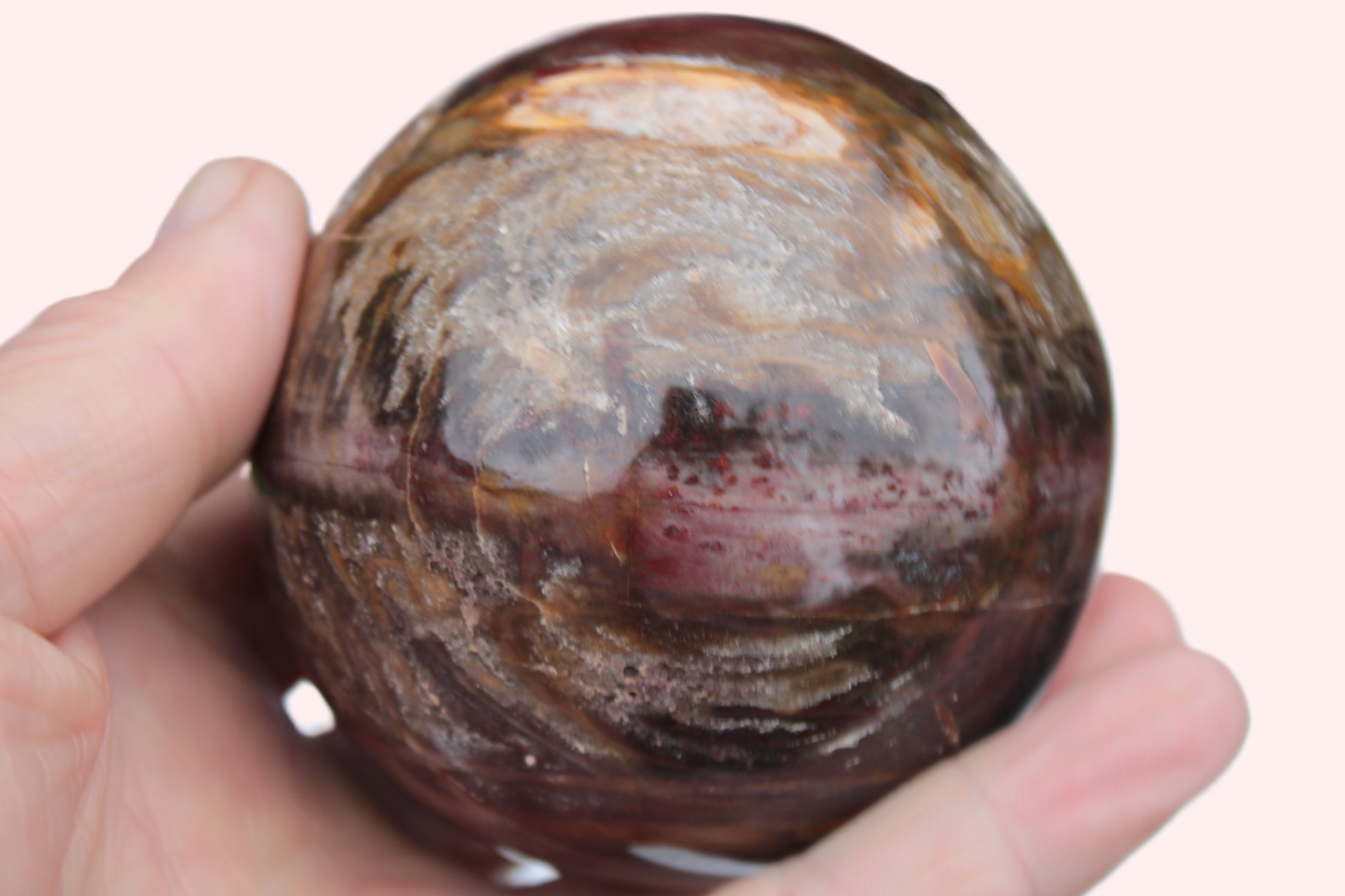 Petrified Wood sphere 675g Rocks and Things