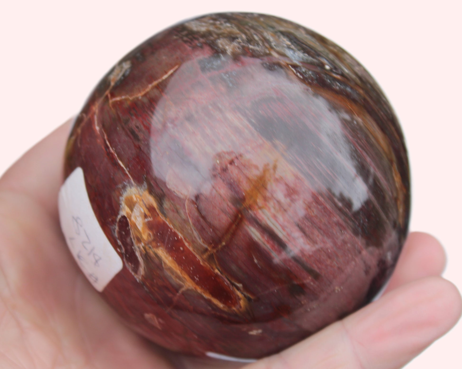 Petrified Wood sphere 675g Rocks and Things