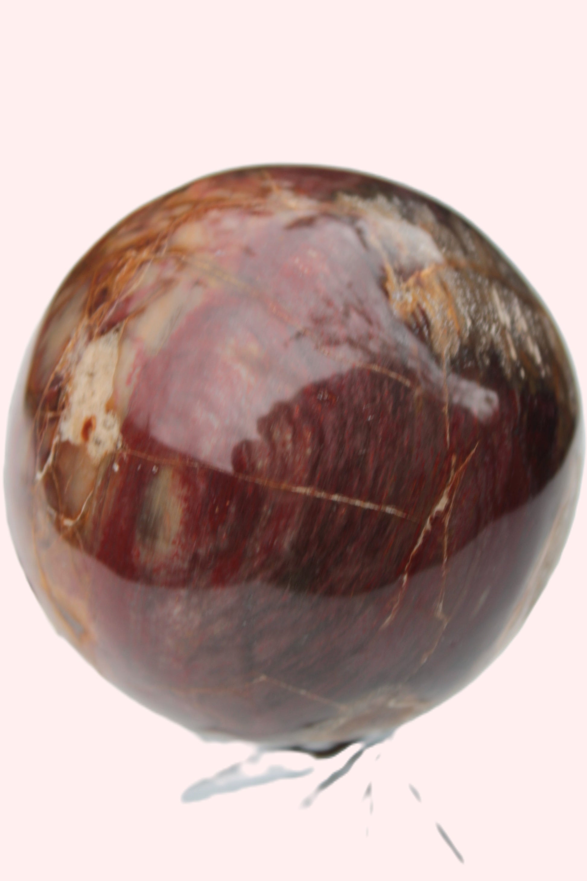 Petrified Wood sphere 675g Rocks and Things