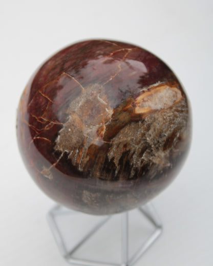 Petrified Wood sphere 675g Rocks and Things