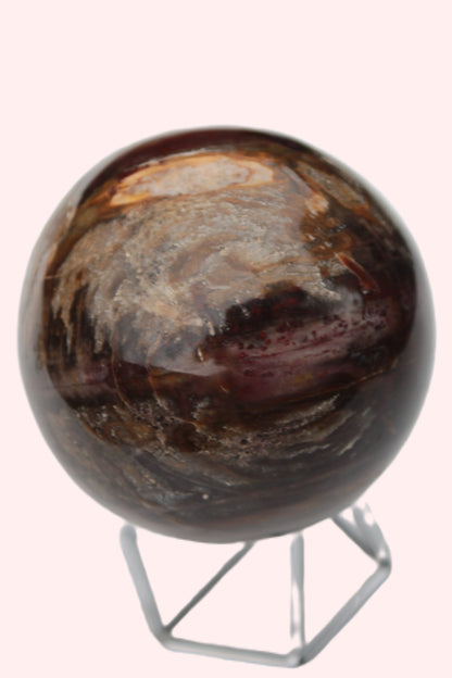 Petrified Wood sphere 675g Rocks and Things