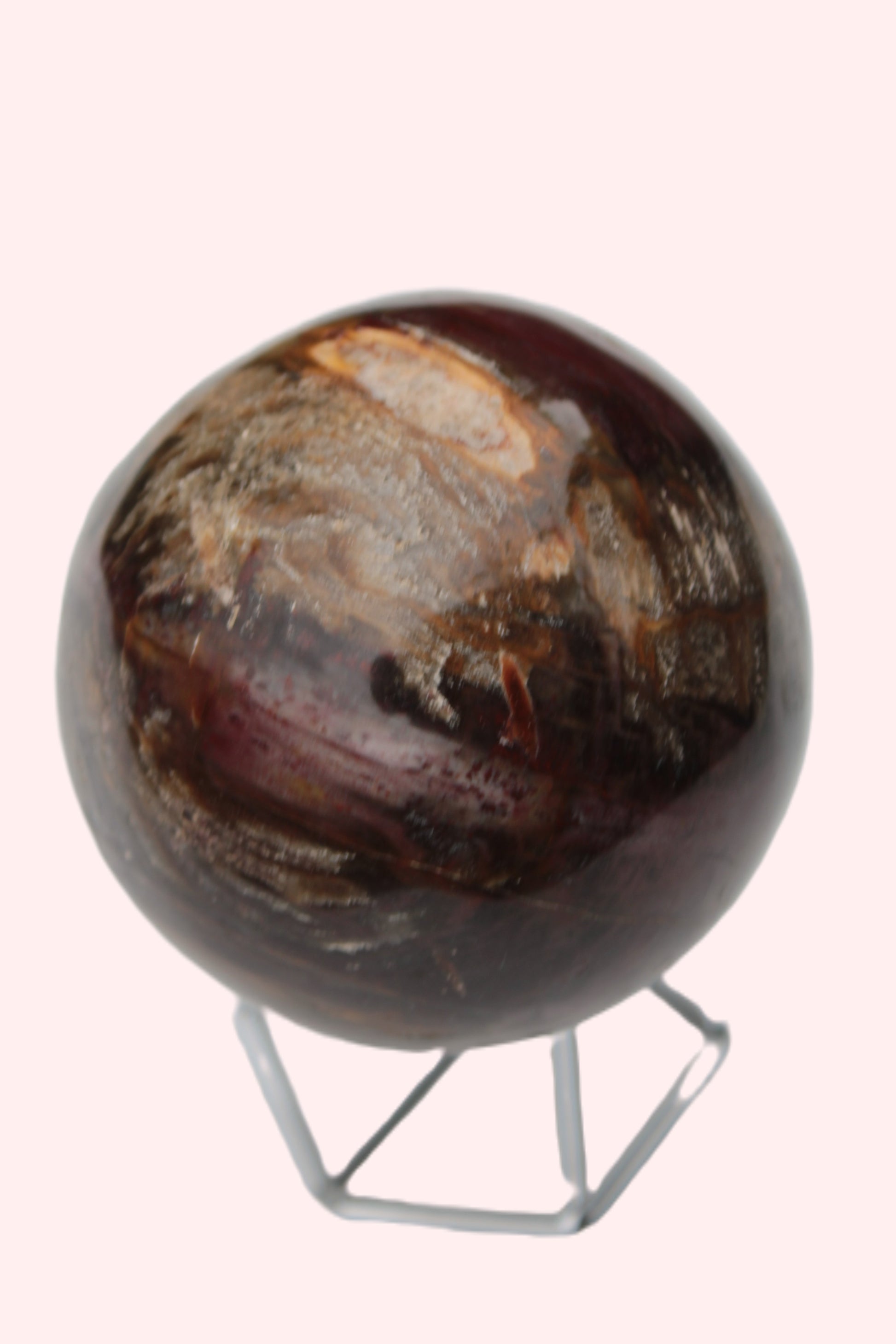 Petrified Wood sphere 675g Rocks and Things