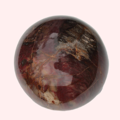 Petrified Wood sphere 675g Rocks and Things