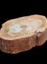 Petrified Wood Agate slice 73g - Rocks and Things Store