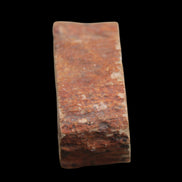 Petrified Wood Agate slice 73g - Rocks and Things Store