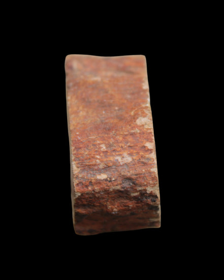 Petrified Wood Agate slice 73g - Rocks and Things Store