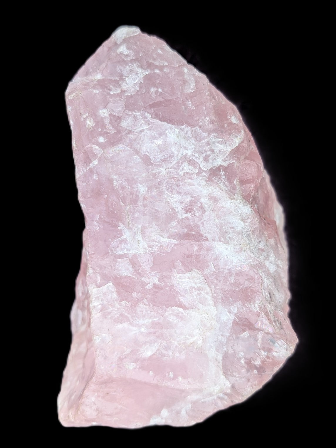 Pink Rose Quartz crystal raw stone 1625g Rocks and Things