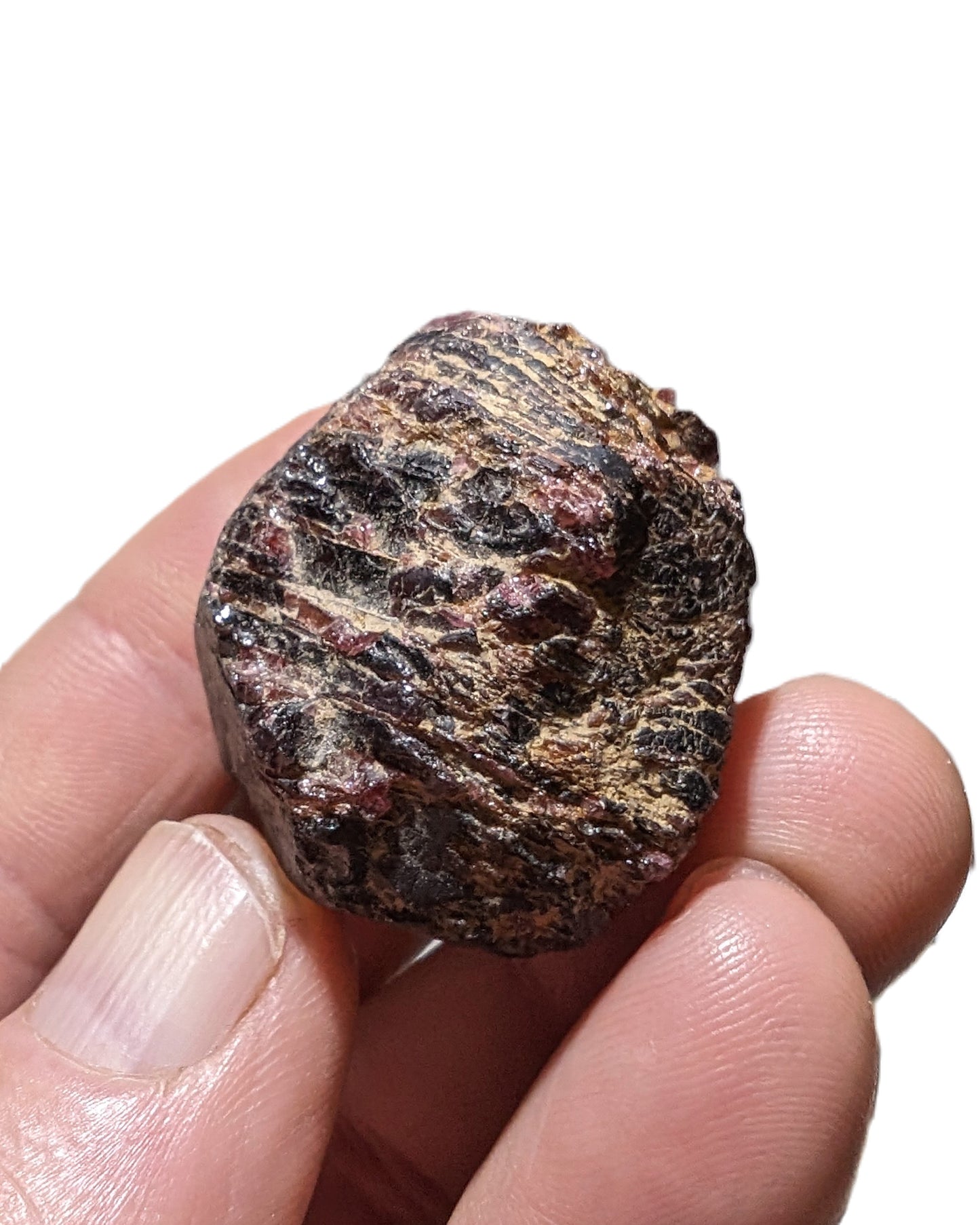 Large raw red Garnet crystal 79g Rocks and Things