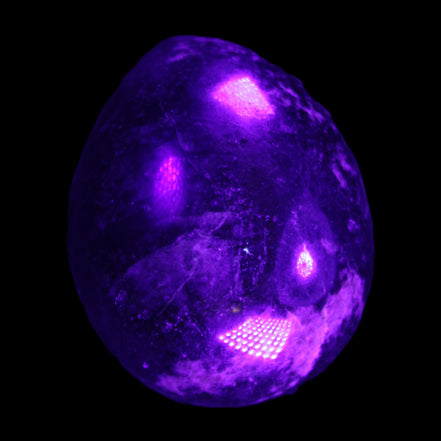 Rhodonite egg 248g in UV light - Rocks and Things Store